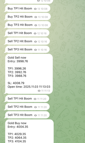 Skärmavbild 2025-11-09 kl. 13.36.22