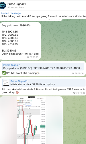 Skärmavbild 2025-11-09 kl. 13.47.42